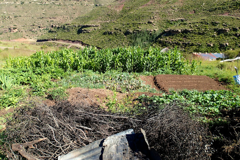 Lesotho